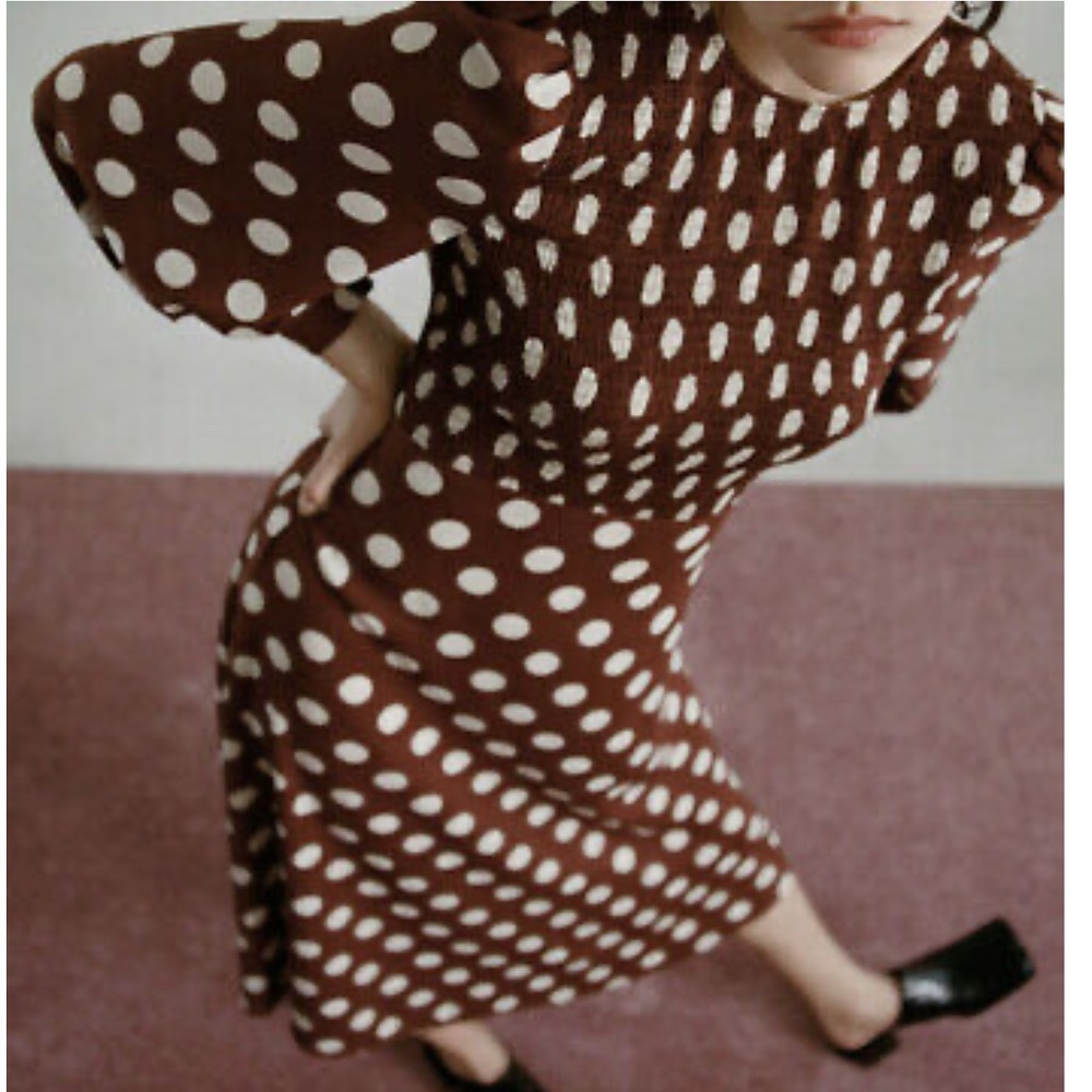 Zara Printed PolkaDot Midi Dress Brown Puff Sleeve